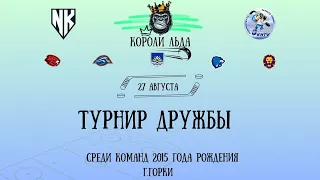 Локомотив 1 - Химик. Хоккей, турнир Короли Льда среди команд 2015 г. | Горки |