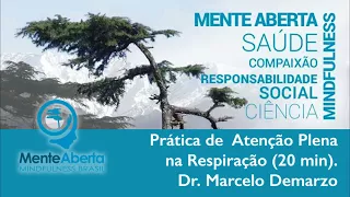 Prática de Mindfulness: Atenção Plena na Respiração por Dr Marcelo Demarzo