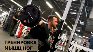 Тренировка мышц ног. Фитнес клуб "Alfa Gym", г.Казань.