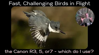 Canon R3, R5, or R7 for fast, challenging birds in flight photography?