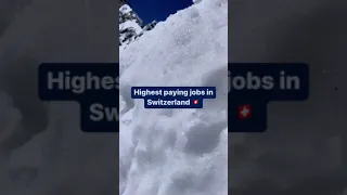 Highest Paying Job in Switzerland🇨🇭 #shortsvideo