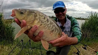 ДОЩІК СКІНЧІВСЯ  і сів зеркальний короп