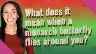 What does it mean when a monarch butterfly flies around you?