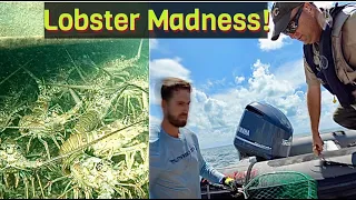 Hundreds of Lobster in Shallow Water! 10 Minute Limit and a Visit from the FWC!!