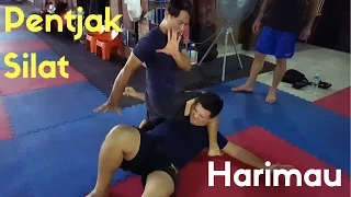 Pentjak Silat: Harimau Techniques