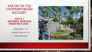 Обломка зеленых побегов на беседке, 2024@Krasokhina