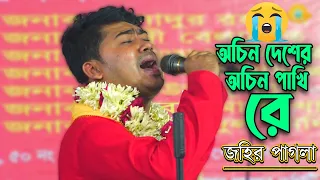 শত বার কাদার মতো কলিজা কাঁটা বিচ্ছেদ, অচিন দেশের অচিন পাখি রে | johir | Ochin deser ochin pakhi re