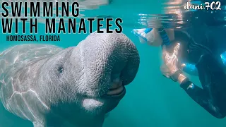 Swimming with Manatees in Florida | Homosassa River & Crystal River Tours | Our Full Experience