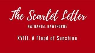 Scarlet Letter - Chapter 18 [Audiobook]
