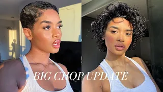 BIG CHOP 1 YEAR UPDATE: NATURAL HAIR JOURNEY | 6KENZA