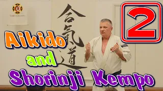 Joint training of Aikido and Shorinji Kempo -2. Sensei Rokitsky A.D. 5 Dan. 武道少林寺拳法.
