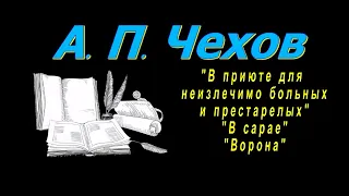 А. П. Чехов "В приюте для неизлечимо больных и престарелых", "В сарае", "Ворона" рассказы аудиокнига