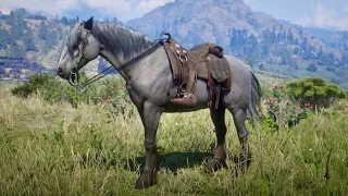 Red Dead Redemption 2: Guaranteed Mustang location