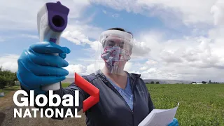 Global National: June 22, 2020 | Global picture of COVID-19 pandemic becomes more grim