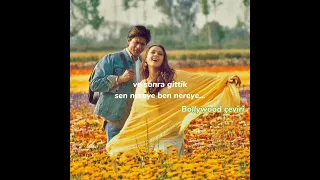 do pal Türkçe altyazılı veer zaara (shah rukh khan&preity zinta)