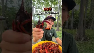🦞 How To Get All The Crawfish Claw Meat #louisiana #crawfish #food #howto #crawfishboil