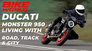 Ducati Monster 950 | Lara Living With On Track, Road And City