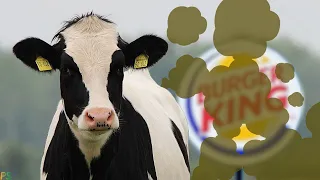 Burger King Is Helping Cows Fart