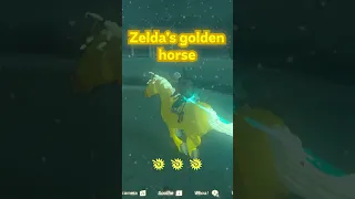 Get 3 UNIQUE Horses By Doing THIS In Zelda Tears Of The Kingdom!