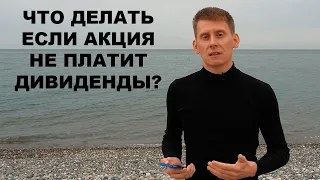 Что делать инвестору, если компания не платит дивиденды?