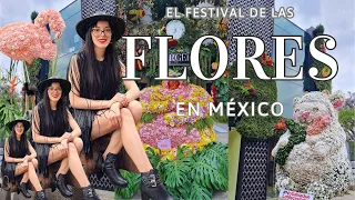 FESTIVAL DE LAS FLORES💐🌸🌺🐝 #flores #cdmx #festivaldeflores