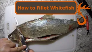 How to Fillet Whitefish