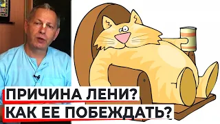 ПРИЧИНА ЛЕНИ? КАК ЕЕ ПОБЕЖДАТЬ? - ВАСИЛИЙ ТУШКИН