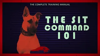 The Sit Command 101