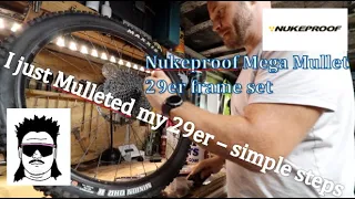 Mullet a 29er, is it possible? Nukeproof mega mullet conversion, will it workout? or did I mess up!?