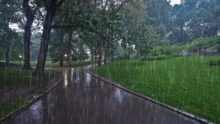 Feel Comfortable with the Sound of Rain in the Garden, Relaxing Ambience for Study and Sleep.