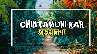 Chintamoni Kar Bird Sanctuary Kolkata|কলকাতায় অভয়ারণ্য|One Day Tour | Best Offbeat Place In Kolkata