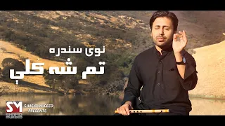 Shafiq Mureed - Tamsha Gole تم شه ګلې OFFICIAL VIDEO
