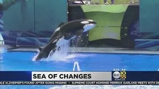 SeaWorld Killer Whales