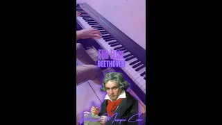 Beethoven - Für Elise #shorts