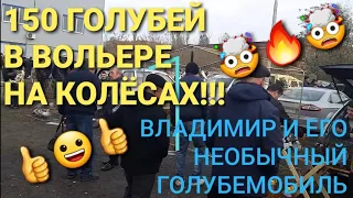 150 голубей в вольере на колёсах. Владимир и его необычный голубемобиль.  Николаеские голуби.