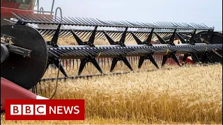 Russian invasion of Ukraine could cause global food crisis, UN warns - BBC News