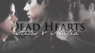 S & M | Dead Hearts