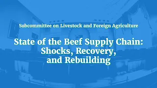 State of the Beef Supply Chain: Shocks, Recovery, and Rebuilding