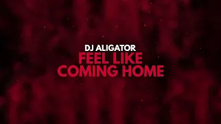 DJ Aligator - Feel Like Coming Home