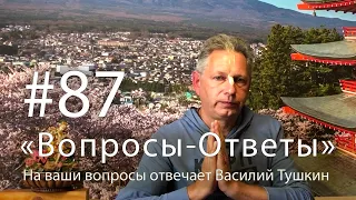 "Вопросы-Ответы", Выпуск #87 - Василий Тушкин отвечает на ваши вопросы