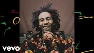 Bob Marley & The Wailers, Chineke! Orchestra - One Love / People Get Ready (Visualiser)