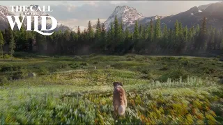 The Call of the Wild | Answer The Call Clip | 20th Century Studios