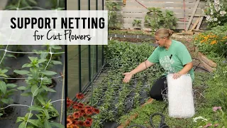 Support Netting for Cut Flowers - Sunshine and Flora Urban Flower Farm