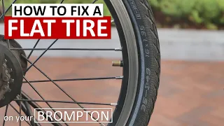 how to repair a FLAT TIRE on the Brompton