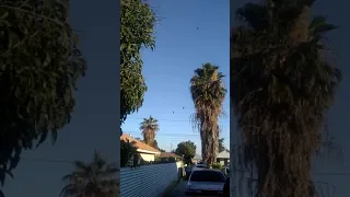 Apache Helicopters Flying Over My House