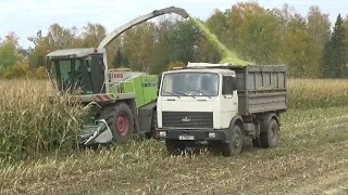 Заготовка силоса 2022: Комбайн Claas Jaguar 870 производит уборку кукурузы