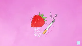 ♪ Vietsub & Lyrics ♪ Strawberries and Cigarettes - Troye Sivan