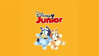 Disney Junior Bluey #disneyjunior #bluey