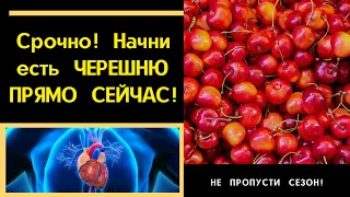 Черешня - незаменимый десерт! Не пропусти сезон!