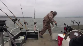 Catching Monster Blue Catfish on Lake Guntersville! #Catfish #Monstercatfish